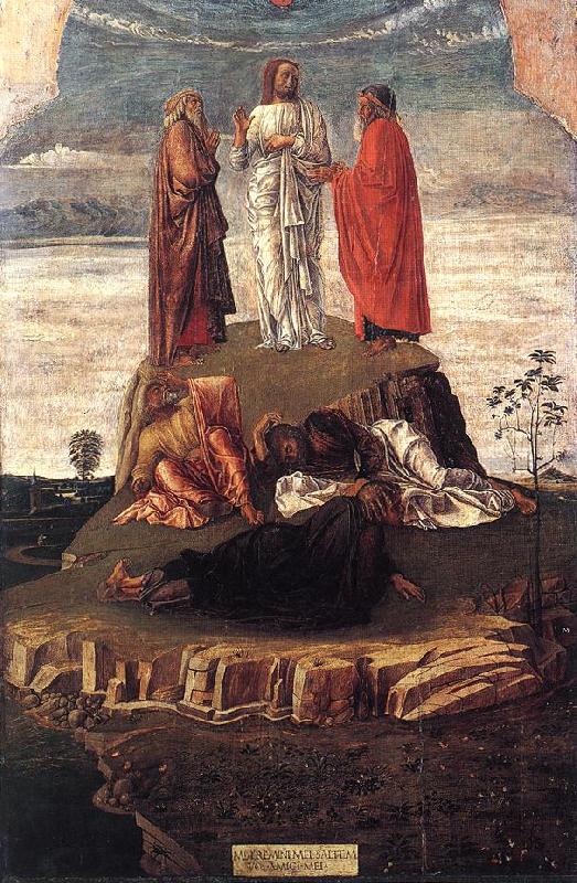 BELLINI, Giovanni Transfiguration of Christ se china oil painting image